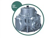 Lanfeng FLow Meter RSJ-50 (Tatsuno Type)
